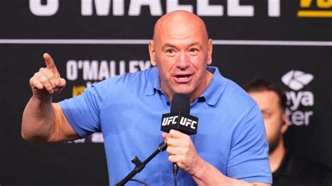 dana hamm|UFC continues anti